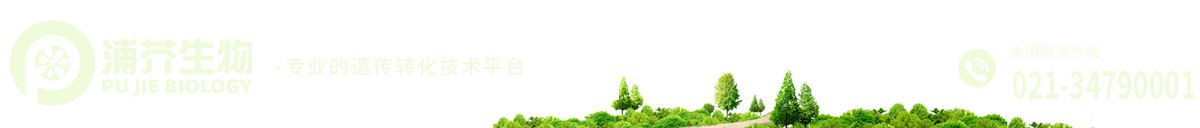 上海浦芥生物技術(shù)有限公司